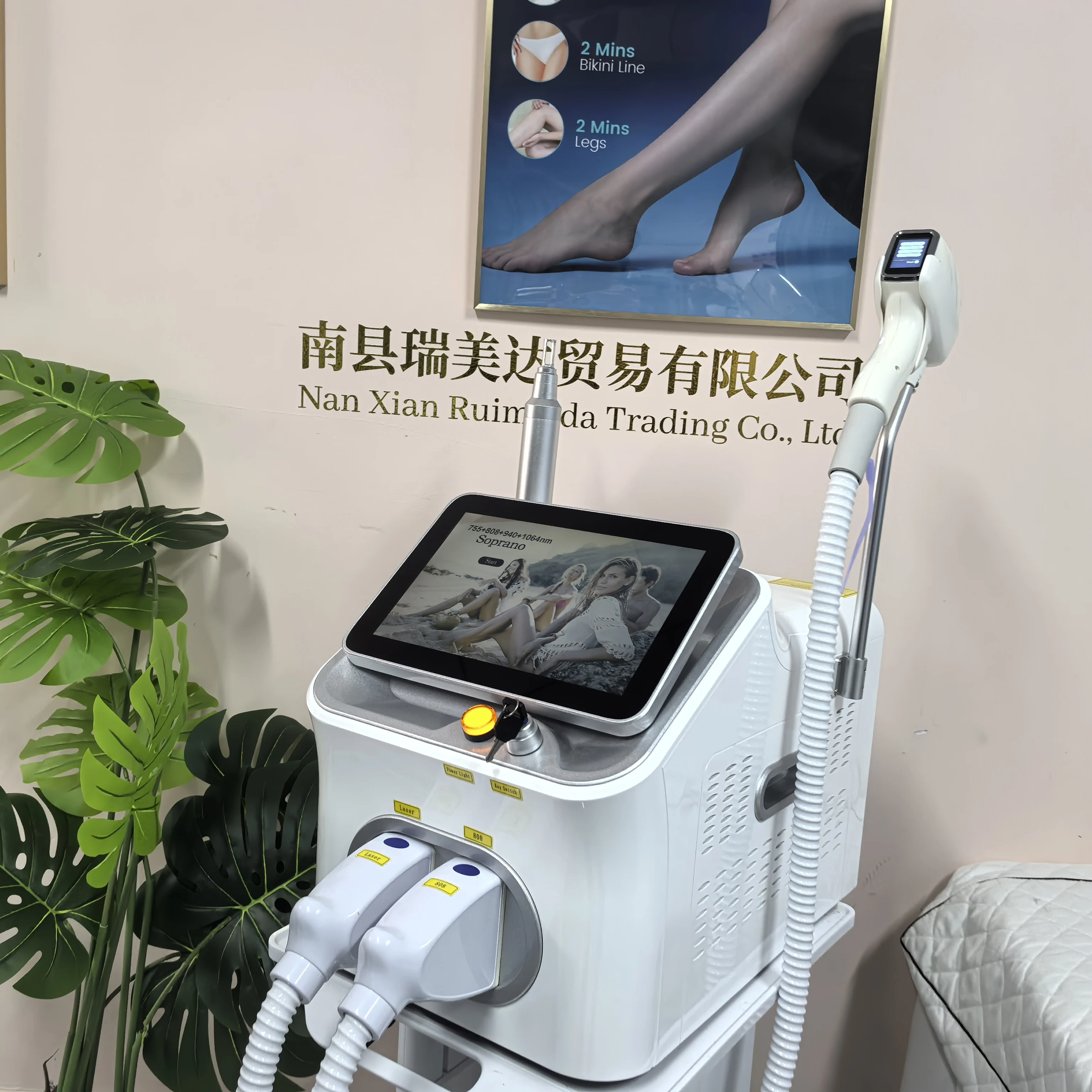 Professional 2IN1 Diode Laser  - Nd Yag Laser Tattoo Removal Machine recension och pris