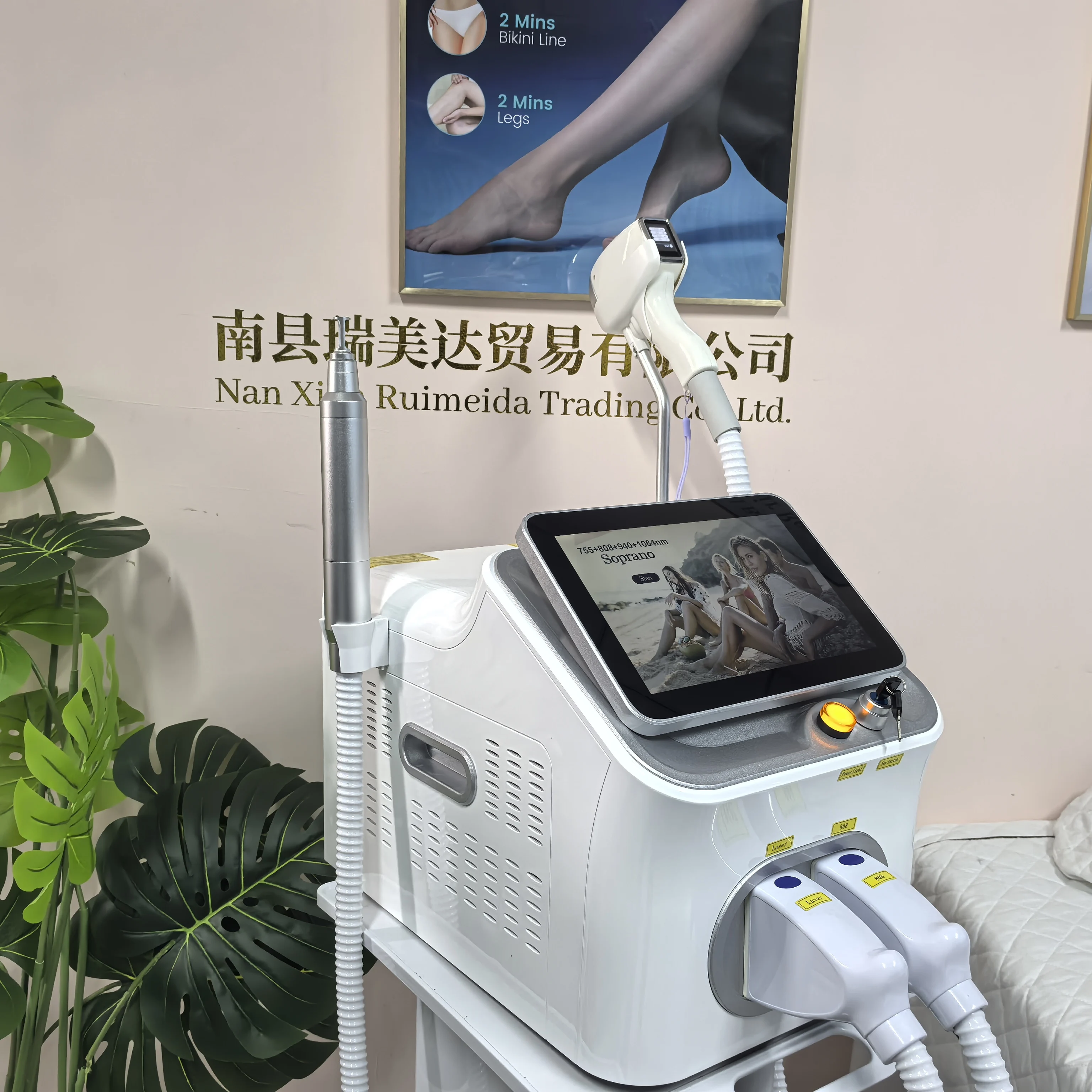 Professional 2IN1 Diode Laser  - Nd Yag Laser Tattoo Removal Machine recension och pris